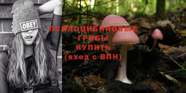 дурь Армянск